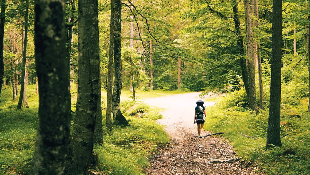 Hymnody of Earth | Summerguide